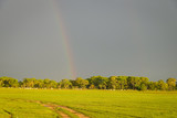 View of green pasture land with treelined horizon and dark sky with  rainbow, Pantanal Wetlands, Mato Grosso, Brazil