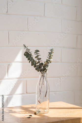 Close up vertical view of dried eucalyptus leaves in glass bottle on wooden shelf against painted white brick wall with shadow (selective focus)