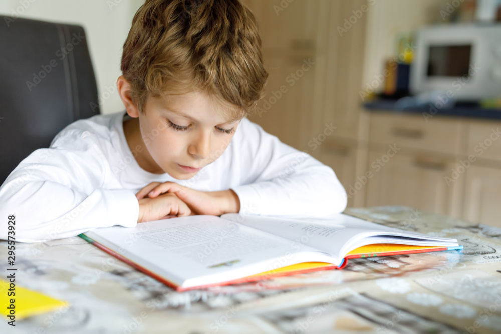 Little blonde school kid boy reading a book at home Little blonde school kid boy reading a book at home