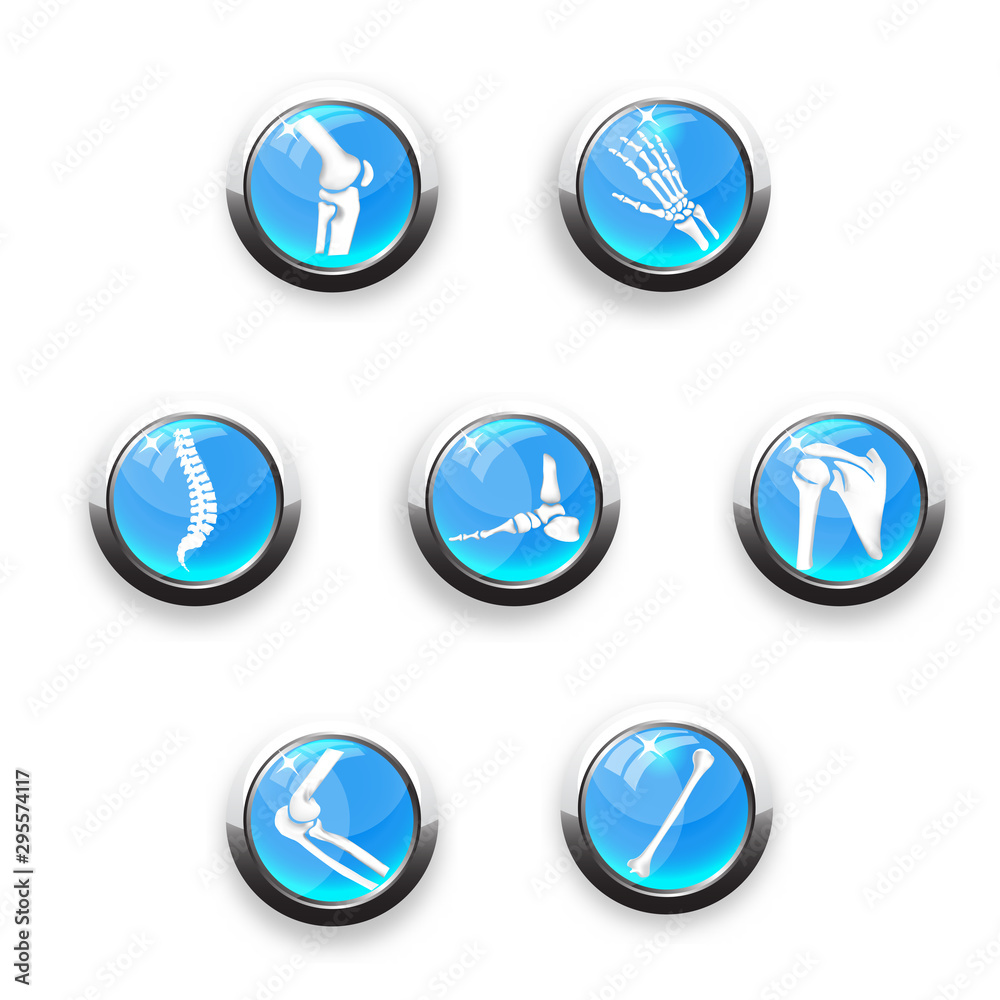 Medical infographic orthopedic anatomy. Abstract background with spine, pelvis, knee, foot, shoulder, elbow, hand, humerus bones and joints. Orthopedics medical.Blue and white. Vector illustration Medical infographic orthopedic anatomy. Abstract background with spine, pelvis, knee, foot, shoulder, elbow, hand, humerus bones and joints. Orthopedics medical.Blue and white. Vector illustration