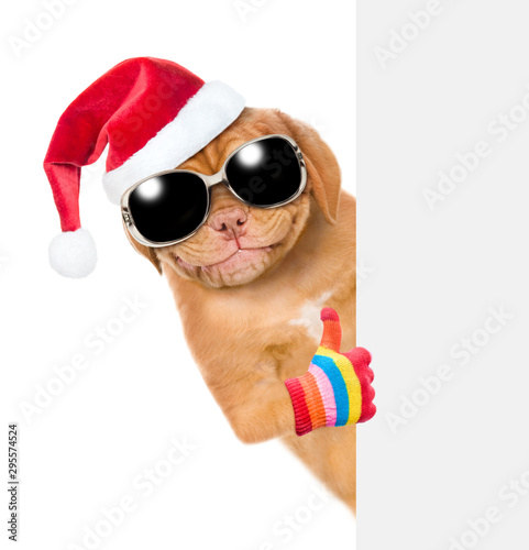 Smiling puppy in red christmas hat with sunglasses showing thumbs up above empty white banner. isolated on white background © Ermolaev Alexandr