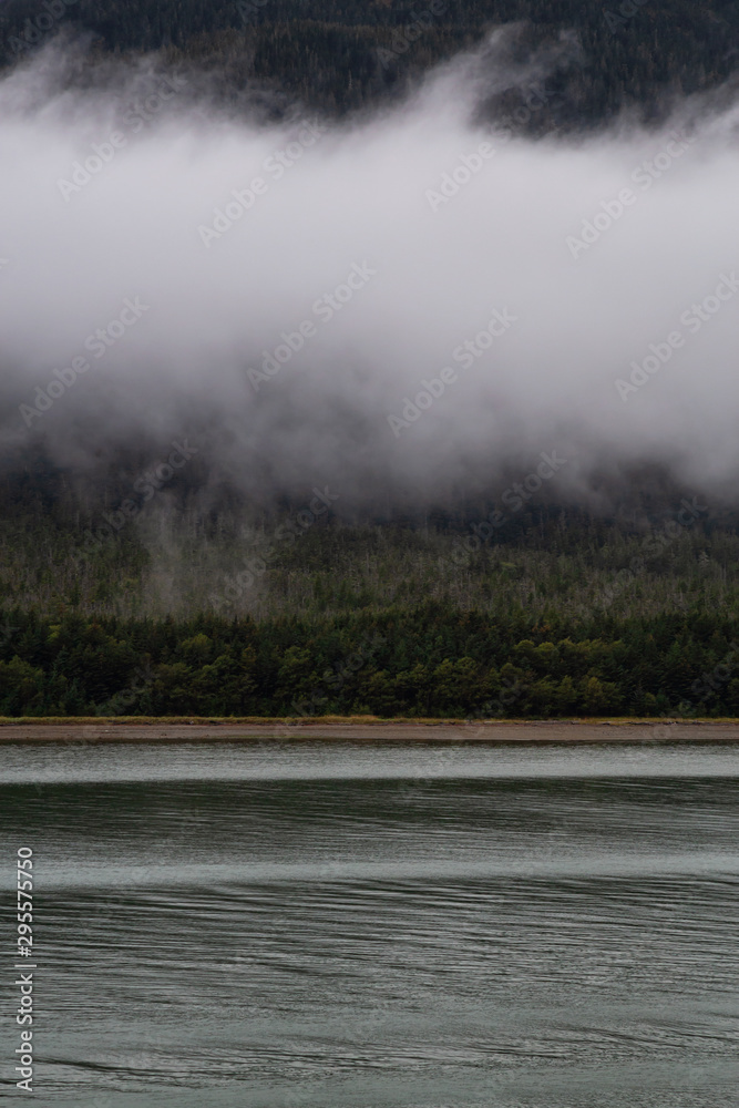 Beautiful American Nature view during a cloudy morning of the beach with forest in the background. Taken near Juneau, Alaska, United States.