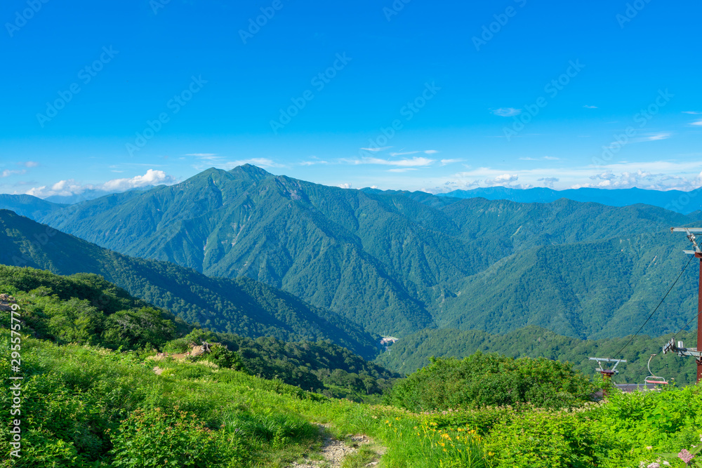 Naklejka premium 谷川岳 登山 トレッキング 避暑 高地 高原