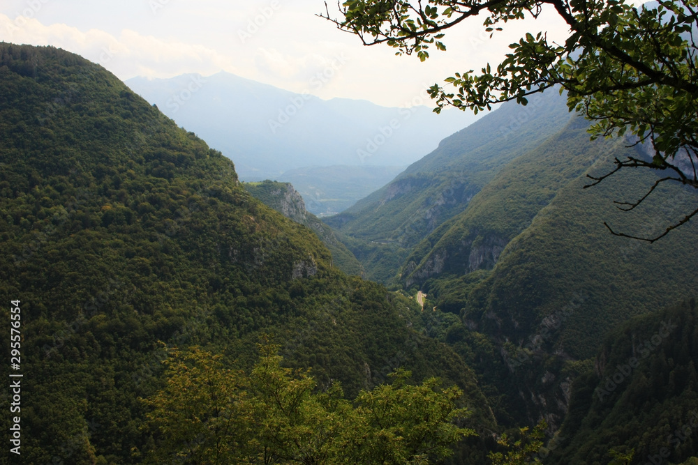 Gorge between mountains overgrown with forest