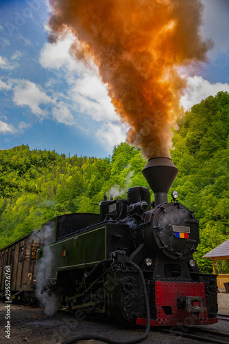 Running wood-burning locomotive of Mocanita (Maramures, Romania). Green forest in background