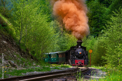 Running wood-burning locomotive of Mocanita (Maramures, Romania). Green forest in background
