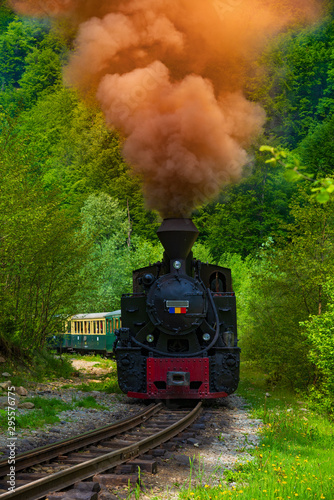 Running wood-burning locomotive of Mocanita (Maramures, Romania). Green forest in background
