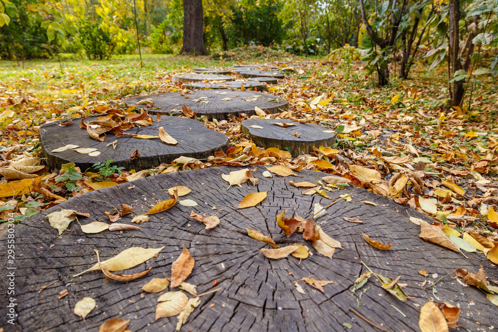 Obraz premium A path in the park made of sawn tree trunks, strewn with autumn foliage