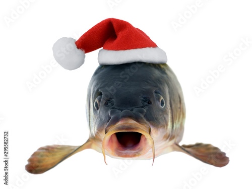 Photography Santa Claus red hat in christmas fish carp