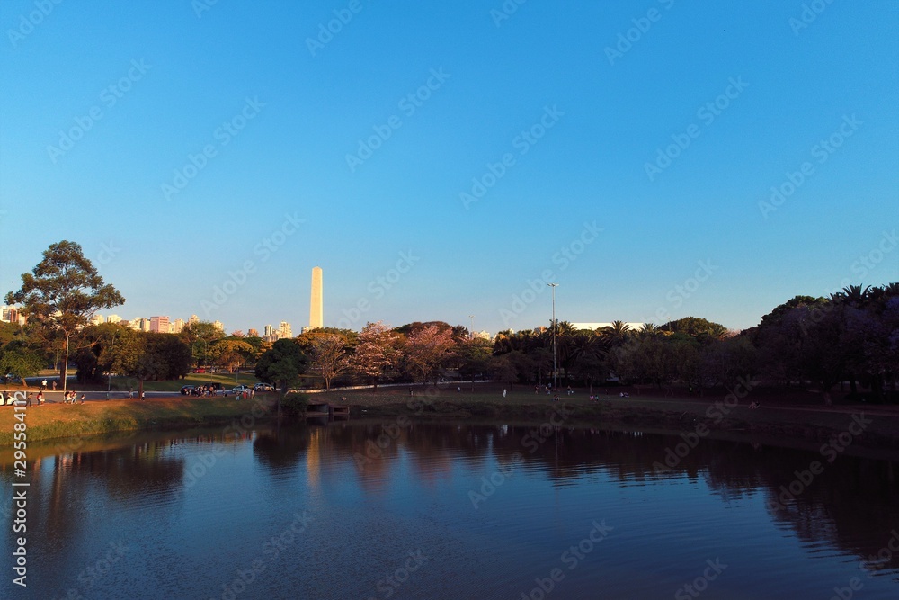 Aerial view of Ibirapuera's Park in the beautiful day, Sao Paulo Brazil. Great landscape. 