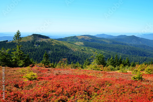Autumn landscape in National park Bayerischer Wald, view from the mountain Grosser Arber, Germany.