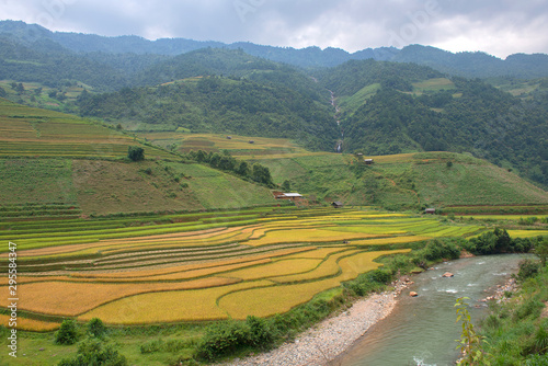 Green, brown, yellow and golden rice terrace fields in Mu Cang Chai, Northwest of Vietnam 