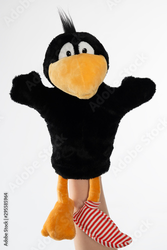 Fröhlicher Rabe mit Socke