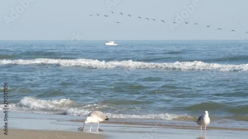 Fishing boat in ocean by beach as birds fly by 4k - OBX Outer Banks HAtteras