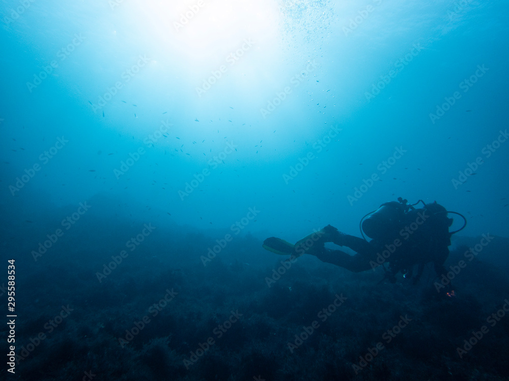 Fototapeta premium Diver and underwater scenery