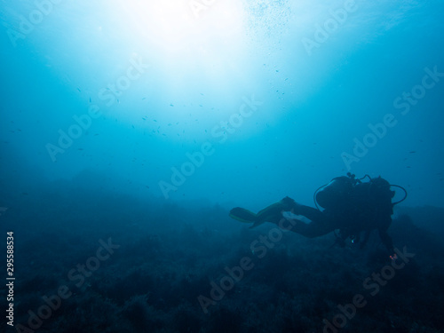 Diver and underwater scenery © Photo_by_Tomo