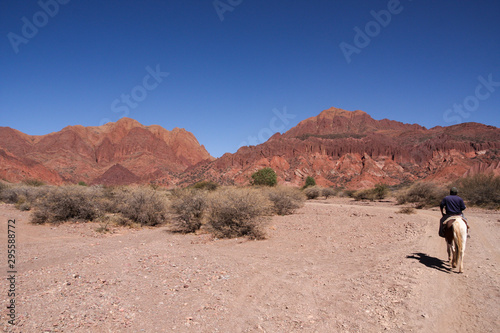A man rides a horse through the desert of Cordillero de los Chicas with bright blue sky and mountain range in background © Sharon Jones
