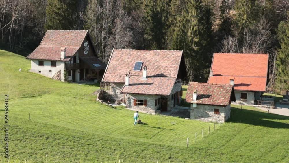Working with lawn mower. One person cutting grass in a beautiful rural house near the woods Working with lawn mower. One person cutting grass in a beautiful rural house near the woods
