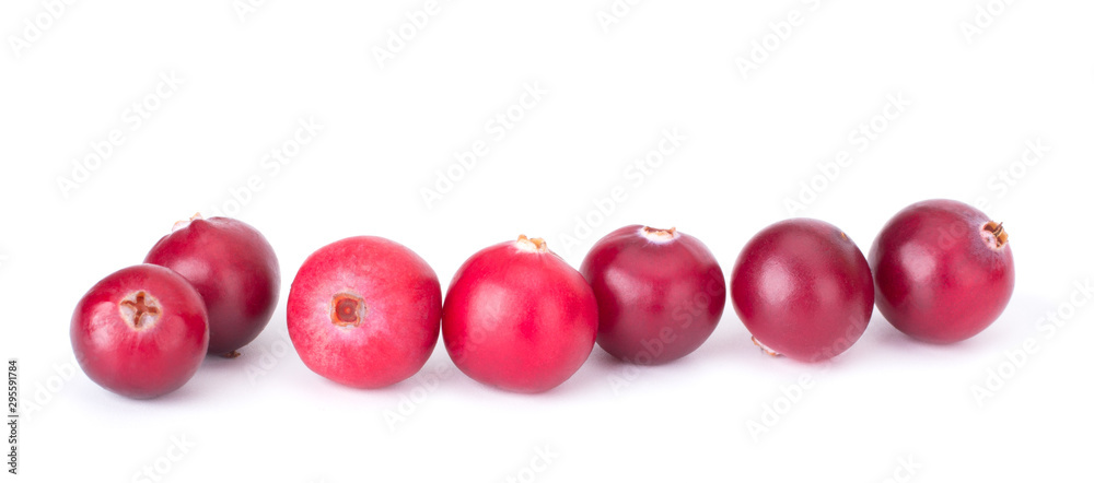 Cranberry isolated on white background closeup