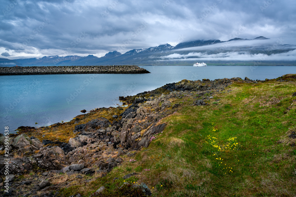 The cruise ship enters the Icelandic port in the fjord