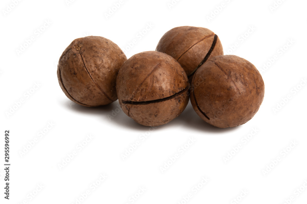 macadamia nuts isolated macadamia nuts isolated