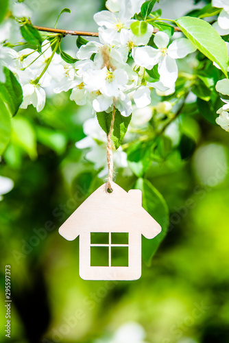 Symbol of the house on the branches of a flowering appletree 