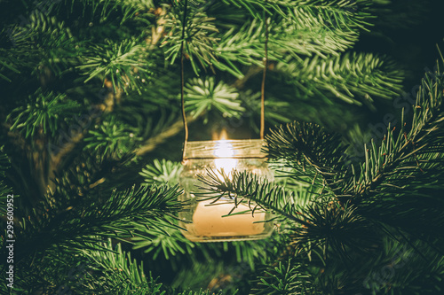 Candle in glass jar burns among the fir branches. Mystical night in forest.