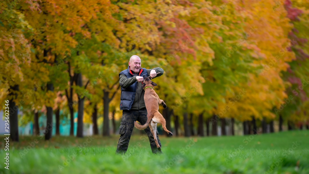 Senior man plays with a dog in the autumn park Senior man plays with a dog in the autumn park