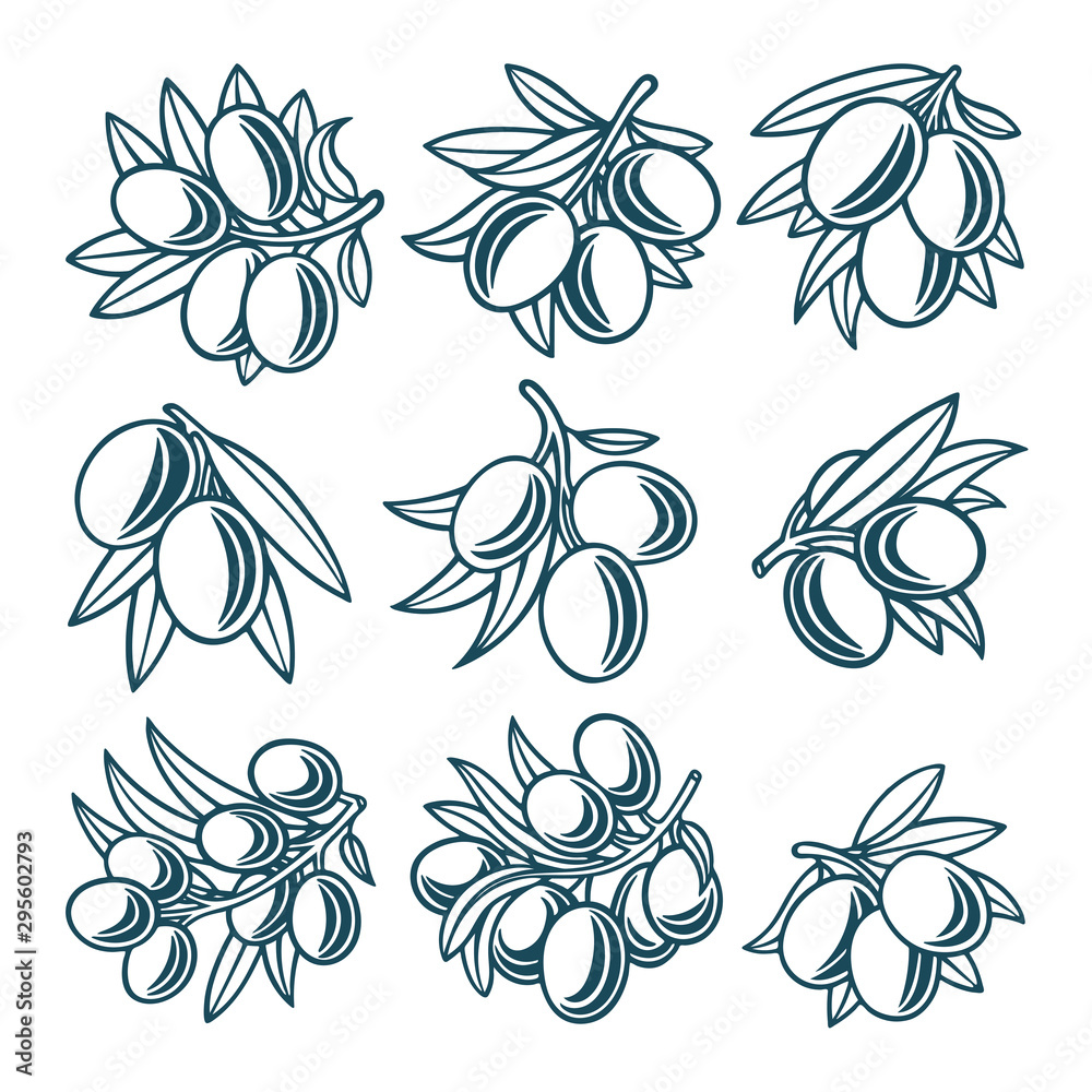 Fototapeta premium Olive. Olive hand drawn vector illustrations set. Part of set.