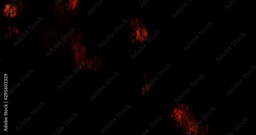The fire spreads through the smoldering steel wool, forming many sparks and isolated beautiful combustion on black background that looks like strands of neurons in the brain The fire spreads through the smoldering steel wool, forming many sparks and isolated beautiful combustion on black background that looks like strands of neurons in the brain