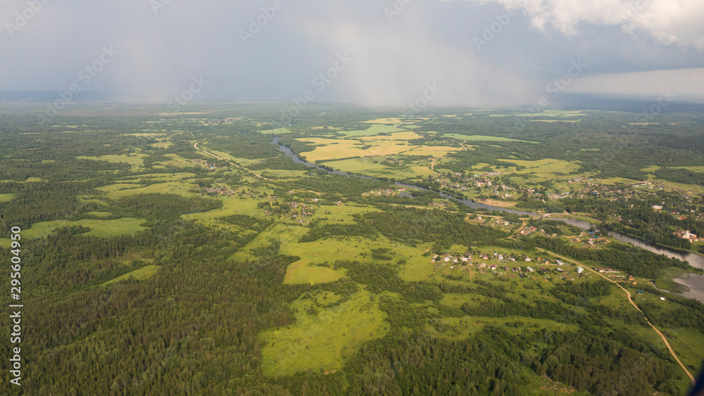 Fototapeta premium Pine forests from a bird's eye view.