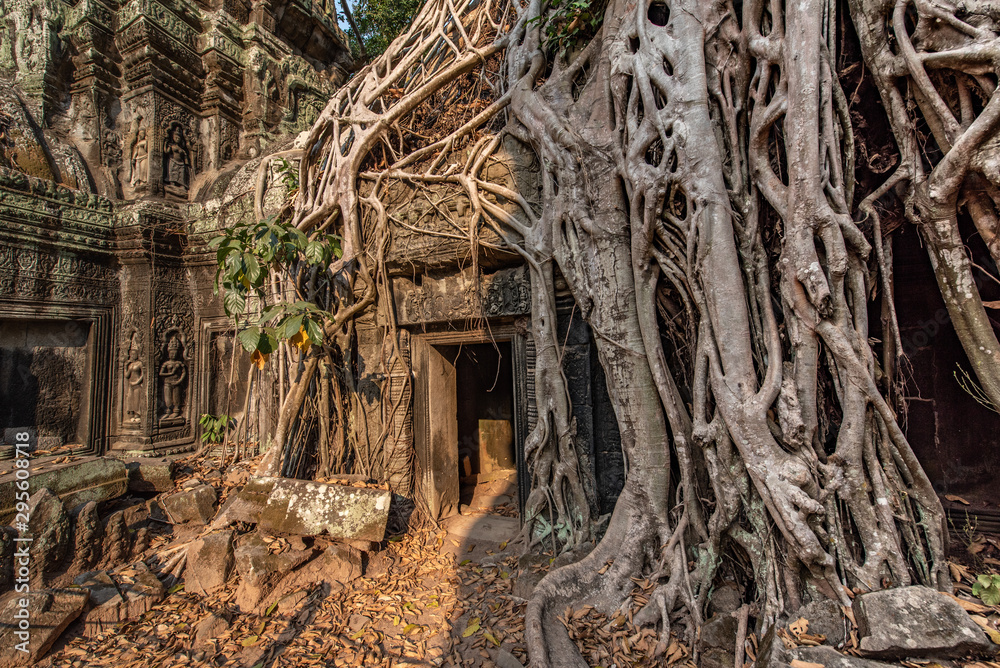 Ta Prohm aka Ta Prohm aka