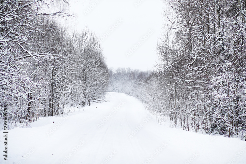 Obraz premium Landscape in the winter cloudy day