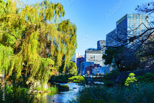 Landscape of Japanese autumn urban and pond water in winter Japan photo