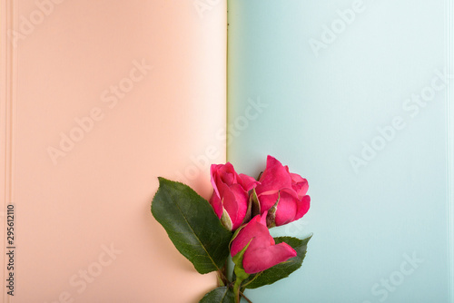 Roses on the pages of notebook with copyspace for text.
