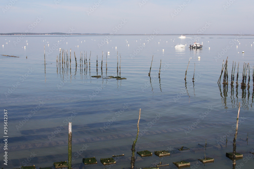 oyster farm basin Arcachon bay in France le Canon beach oyster farm basin Arcachon bay in France le Canon beach