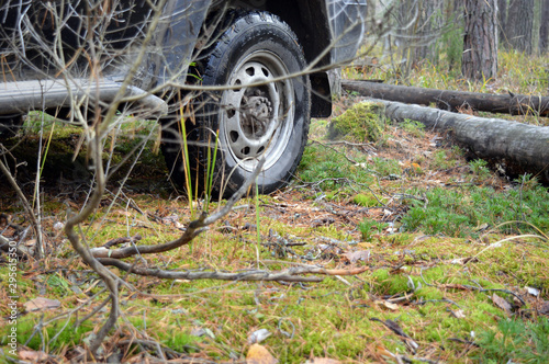 rubber tire wheel of an SUV driving on the grass forest in autumn