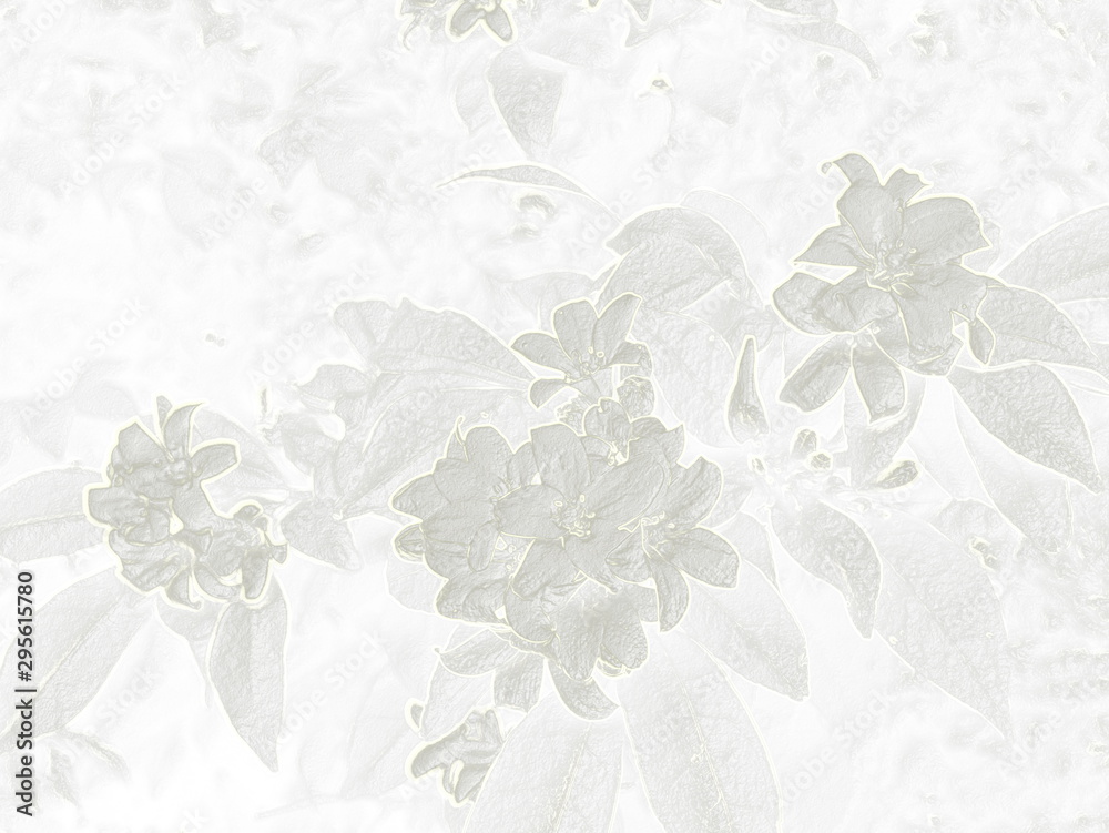 Light Grey Flower Background