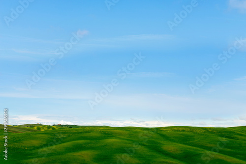 Beautiful spring minimalistic landscape with green hills in Tuscany © Canvas Alchemy