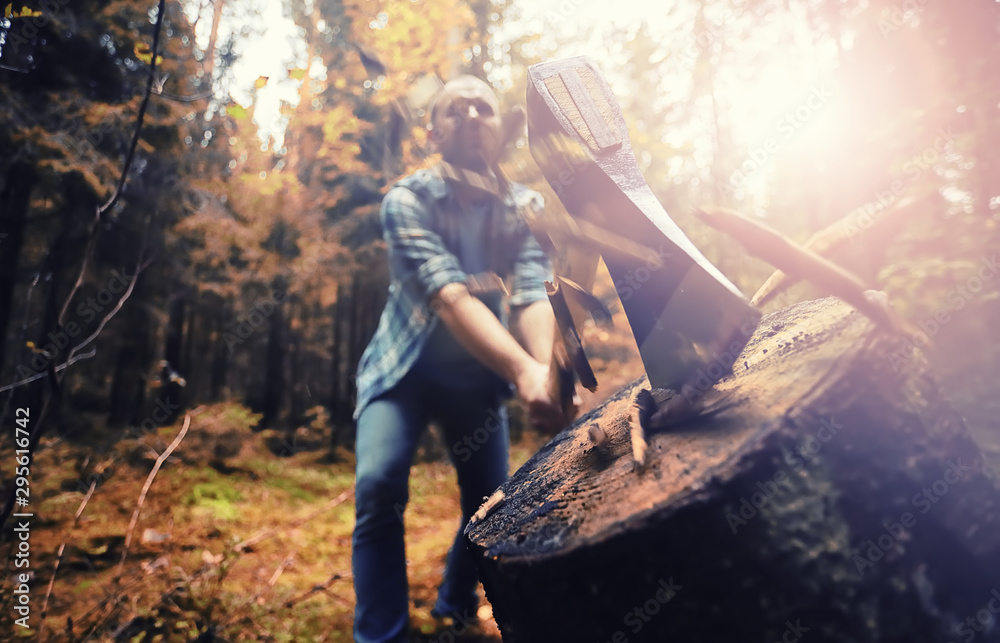 Male worker with an ax chopping a tree in the forest. - obrazy, fototapety, plakaty 
