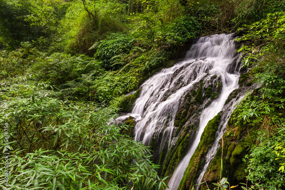 Naklejka premium Waterfall in the mountains with fresh verdue