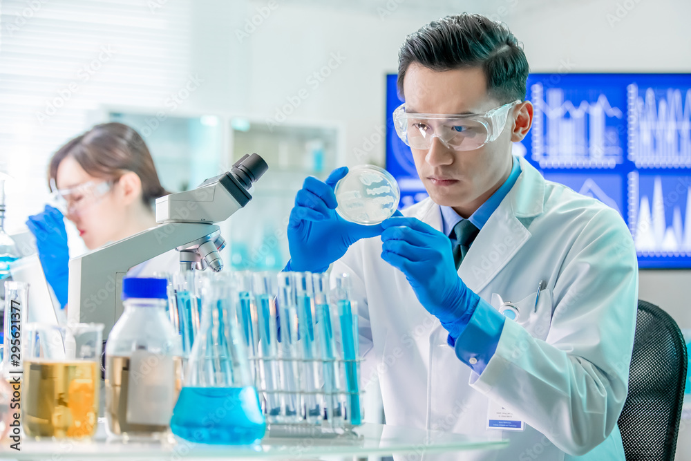 Asian scientist take petri dish Asian scientist take petri dish