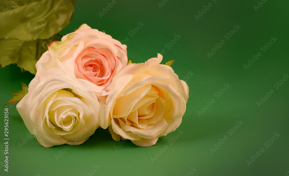 Fototapeta premium Three white roses stock images. White roses on a green background. White flowers decoration. Artificial flowers stock images