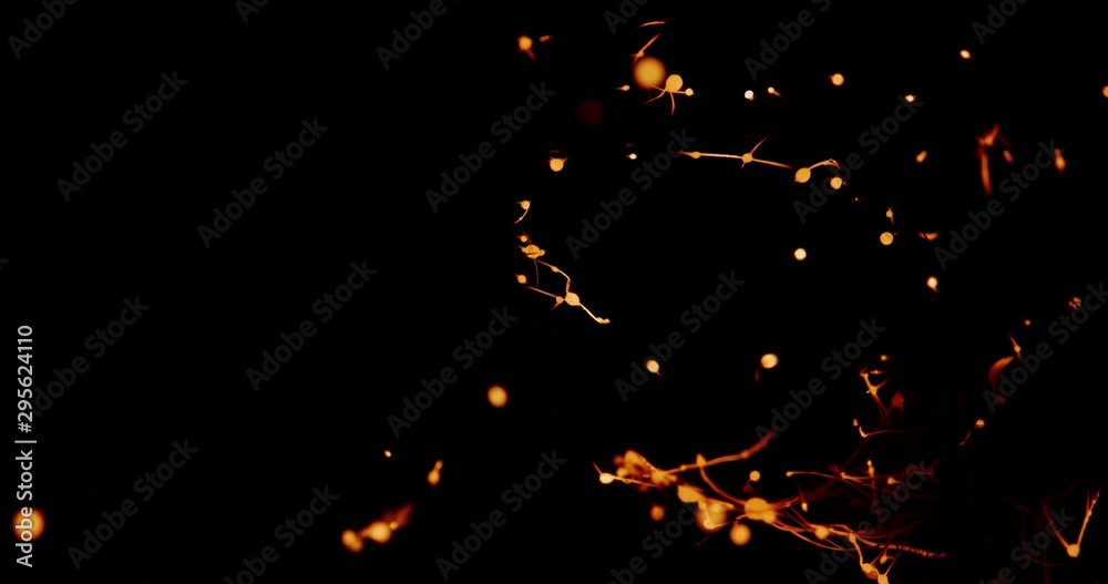 The fire spreads through the smoldering steel wool, forming many sparks and isolated beautiful combustion on black background that looks like strands of neurons in the brain
