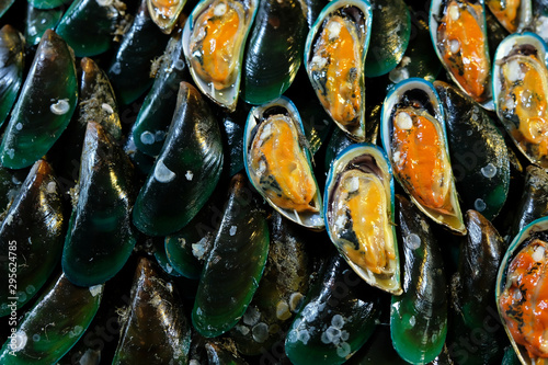 Close-up shot of Asian green mussels on ice.