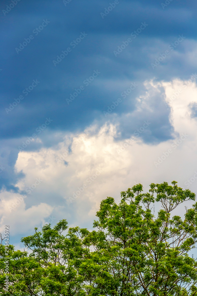 Beautiful May sky before a storm, storm clouds over treetops in Sofia, Bulgaria