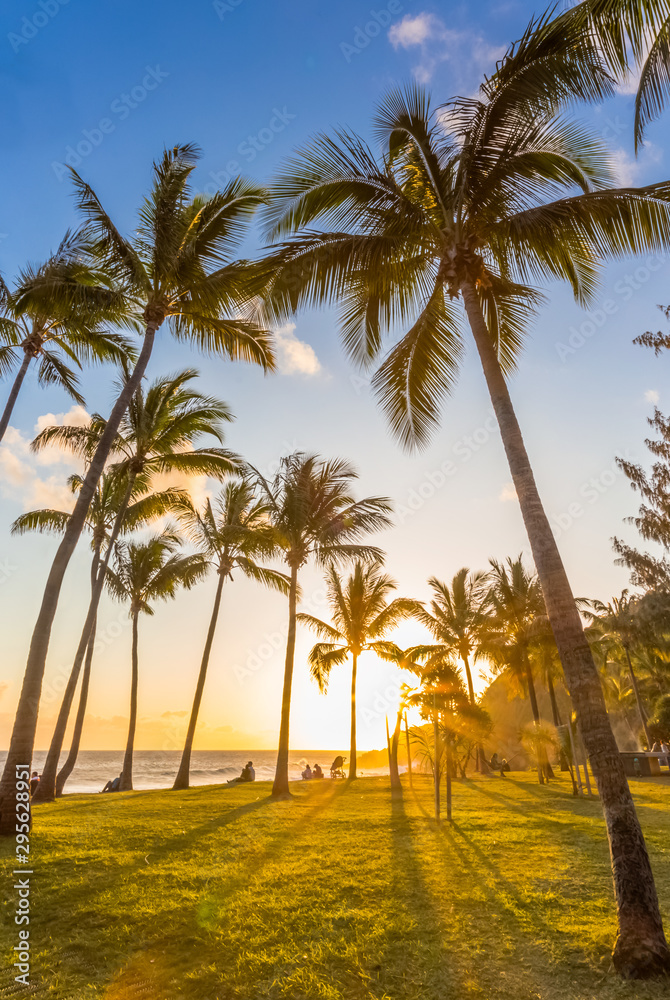 palm trees on the beach at sunset, Grand’Anse, Réunion 