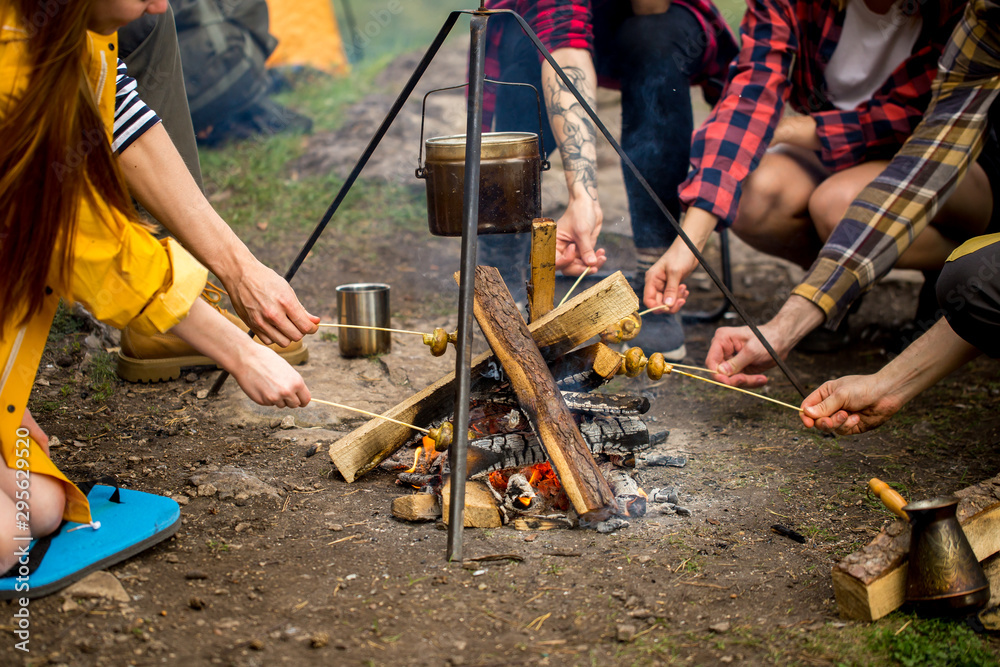young tourists having a rest, roasting mushrooms on sticks, close up cropped photo, free time, spare time young tourists having a rest, roasting mushrooms on sticks, close up cropped photo, free time, spare time