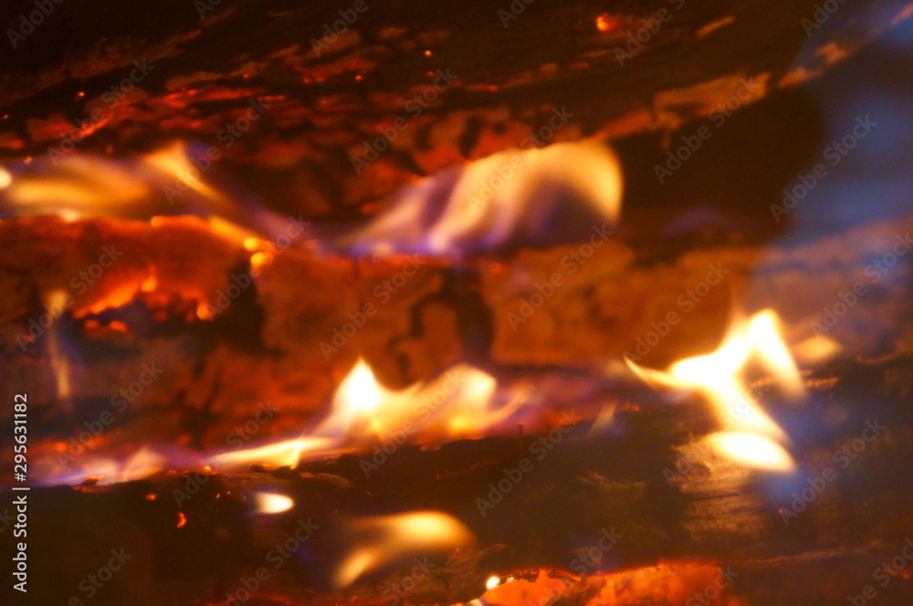 Close-up of a tree burning in a bonfire Close-up of a tree burning in a bonfire