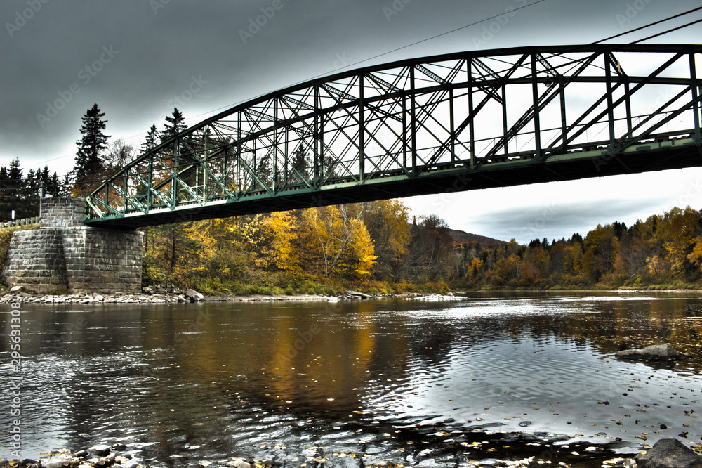 Fototapeta premium bridge over the river